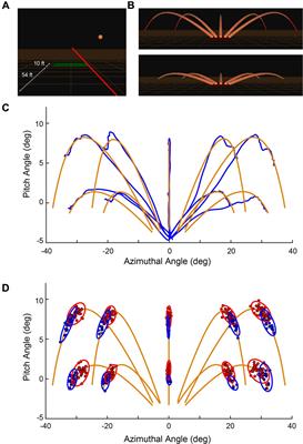 Sensorimotor Learning during a Marksmanship Task in Immersive Virtual Reality